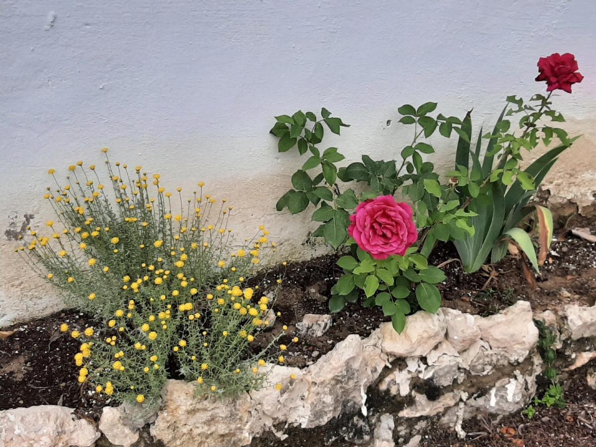 Casa Rural "Eccehomo De Borja" 외부 사진