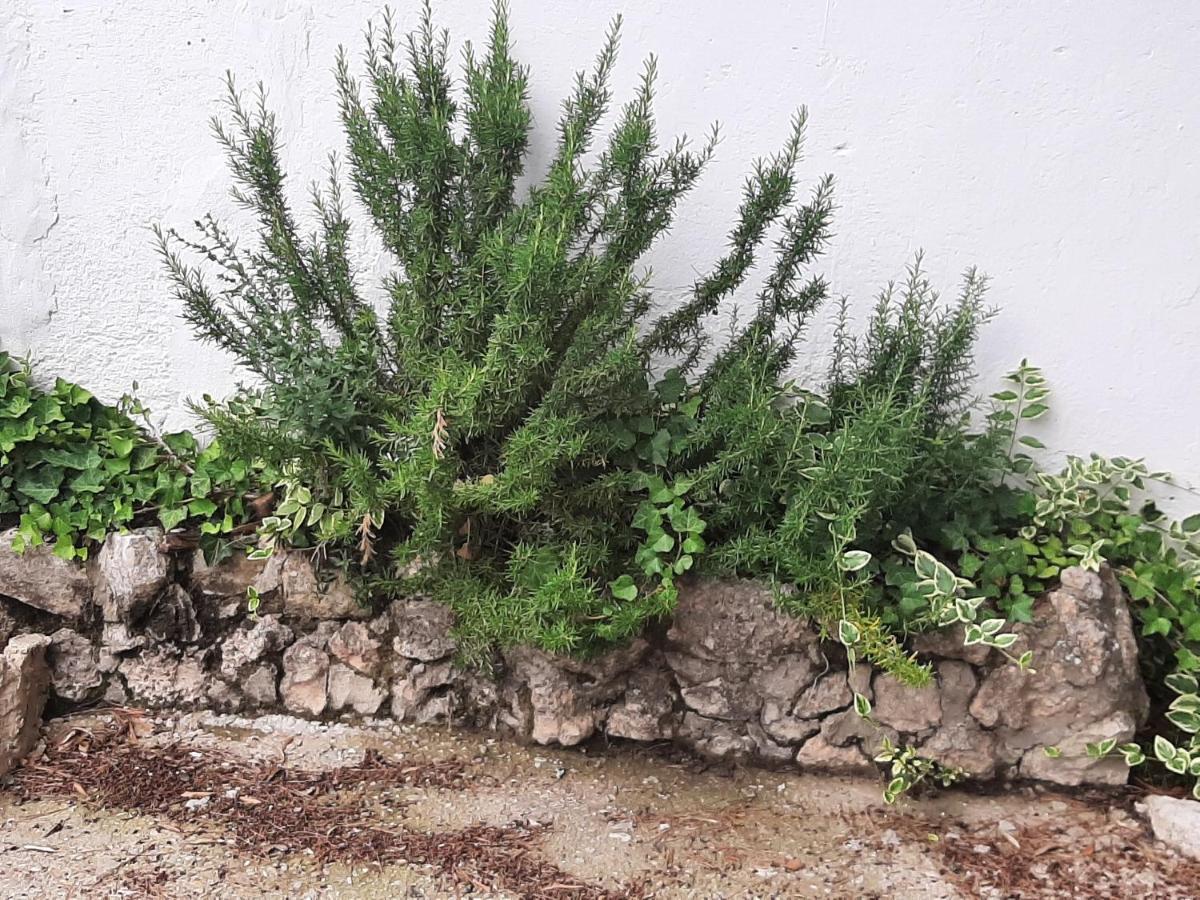 Casa Rural "Eccehomo De Borja" 외부 사진