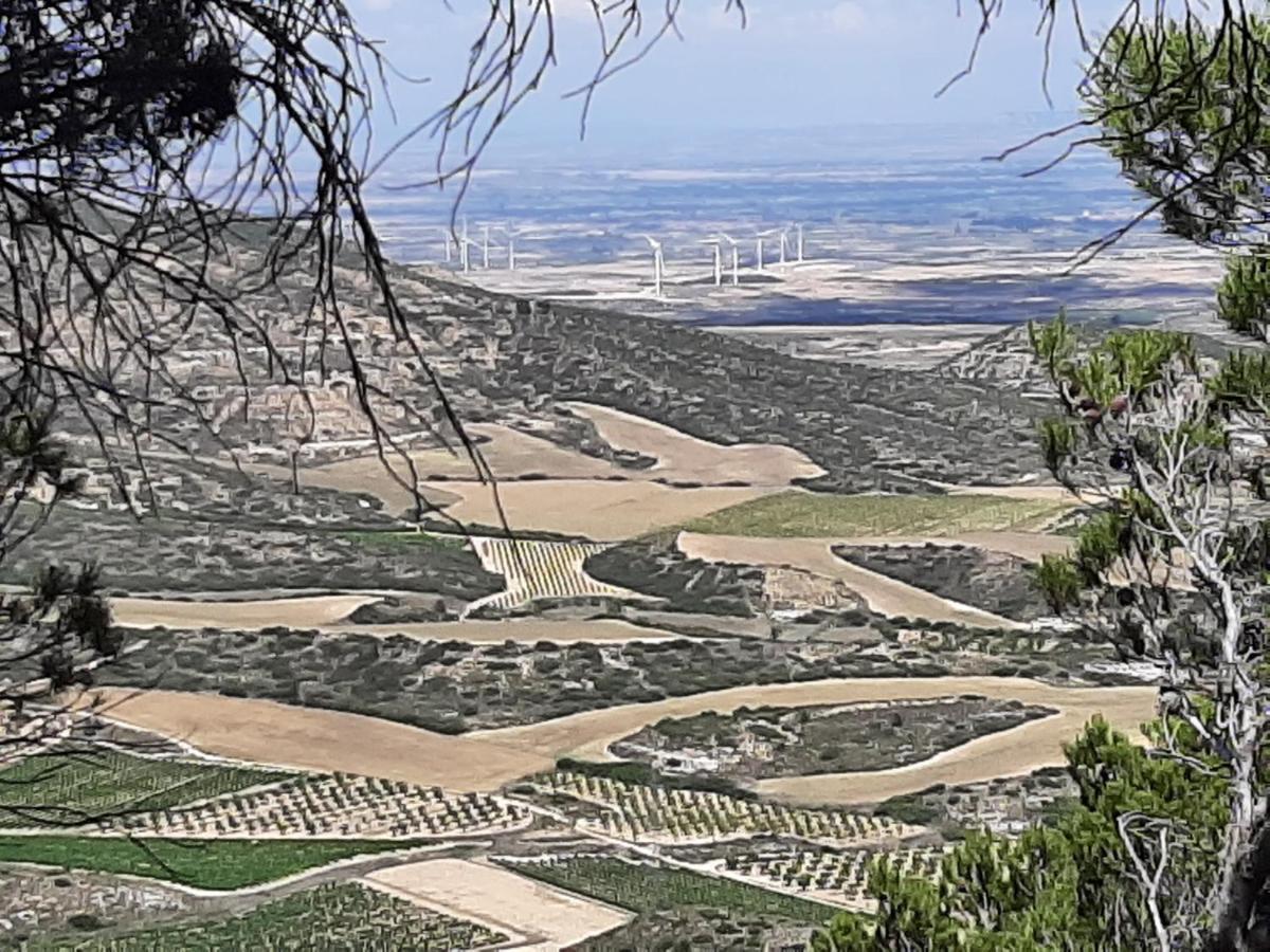 Casa Rural "Eccehomo De Borja" 게스트하우스 외부 사진