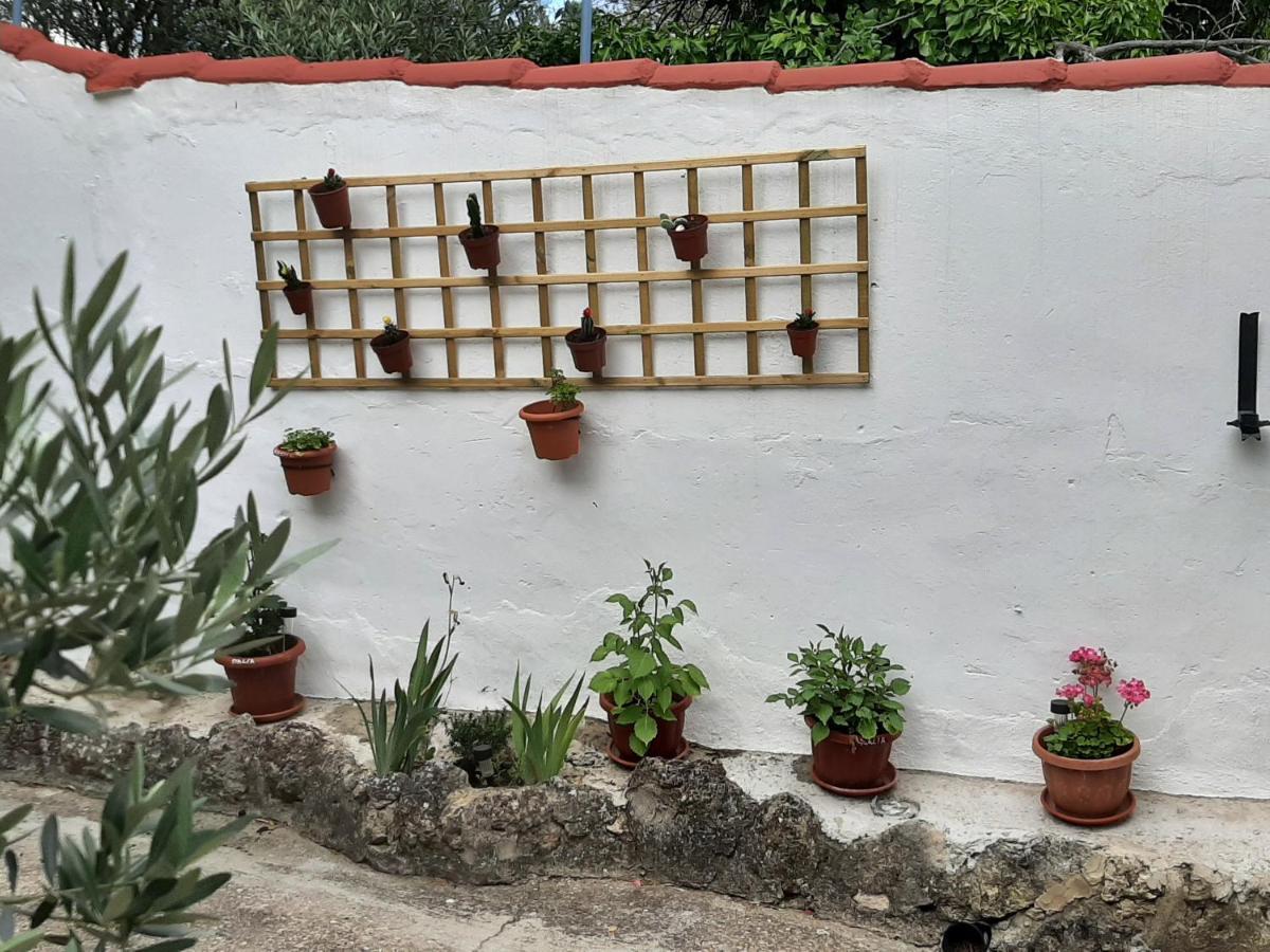 Casa Rural "Eccehomo De Borja" 외부 사진