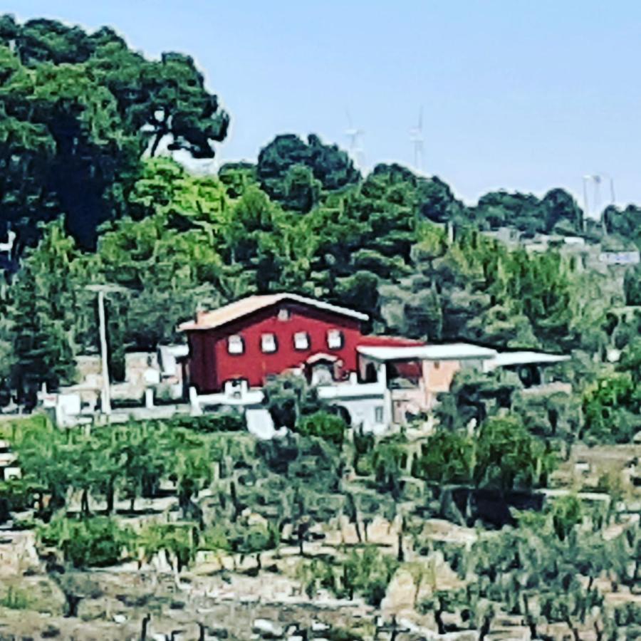 Casa Rural "Eccehomo De Borja" 외부 사진